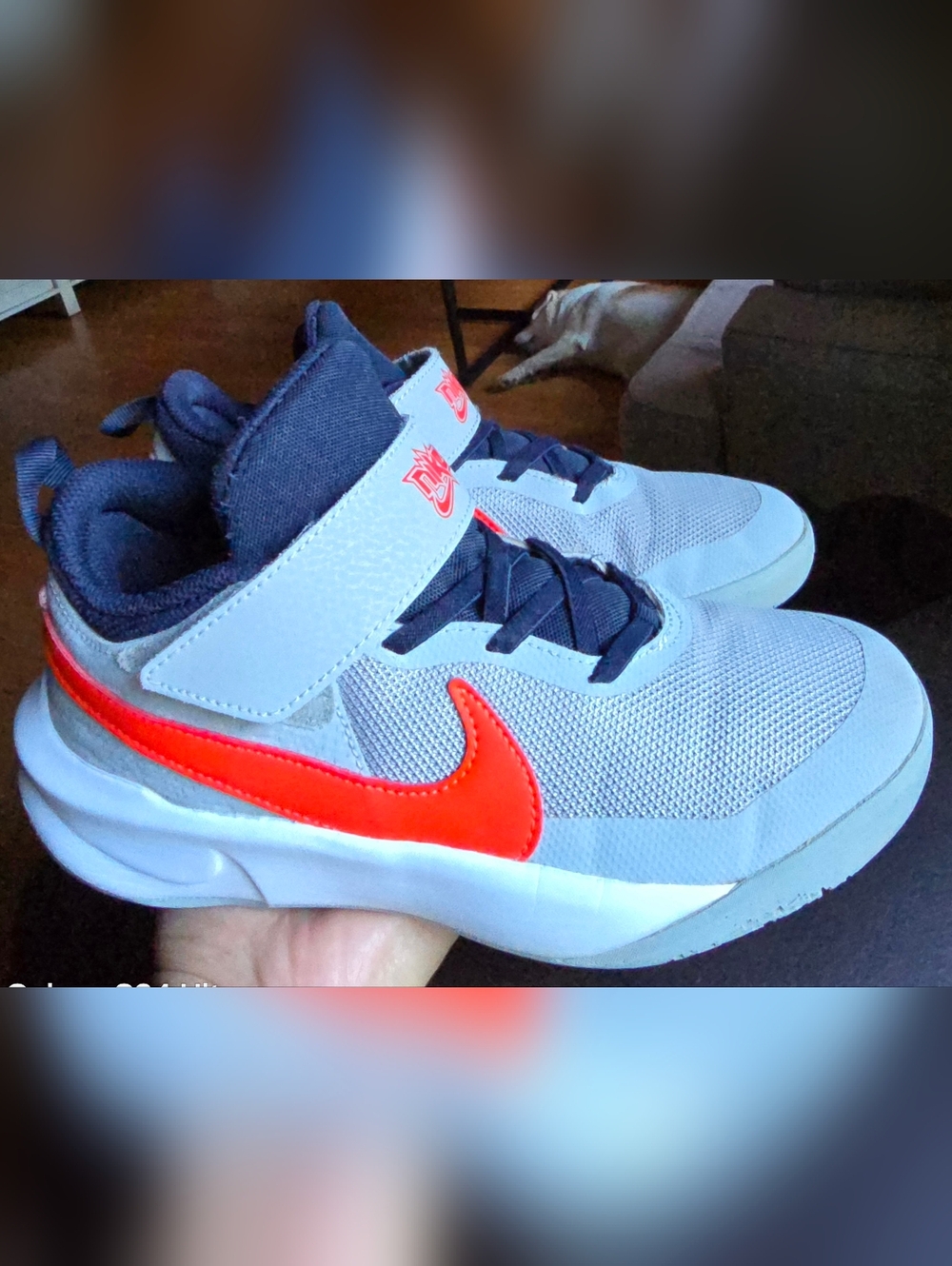 Sz 3Y Little Boys NIKE TEAM HUSTLE D10 'Light Smoke Grey Bright Crimson'